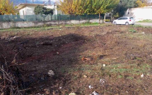 ΟΙΚΟΠΕΔΟ ΧΑΝΙΑ ΚΡΗΤΗΣ ΒΡΥΣΣΕΣ