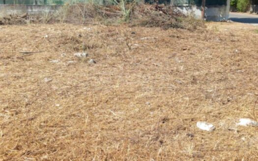 ΟΙΚΟΠΕΔΟ ΧΑΝΙΑ ΚΡΗΤΗΣ ΒΡΥΣΣΕΣ