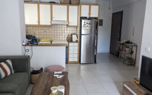 ΔΙΑΜΕΡΙΣΜΑ ΣΤΟ ΑΛΣΟΣ ΧΑΙΔΑΡΙΟΥ 46 Τ.Μ